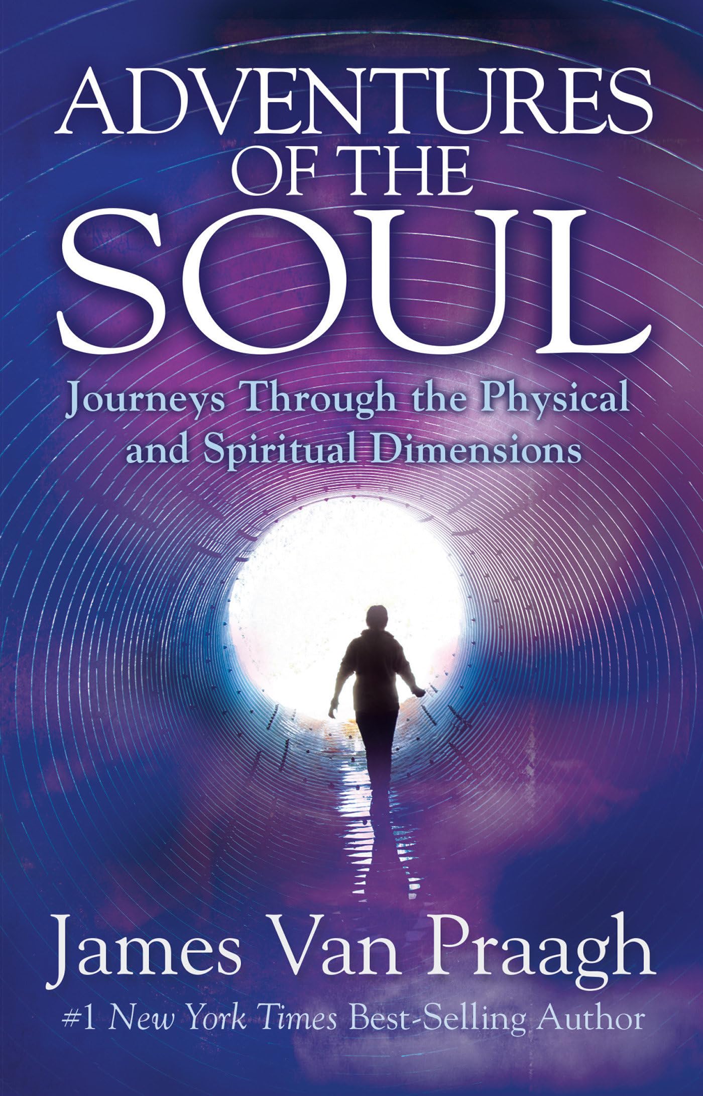 Adventures of the Soul Business, Finance & Career