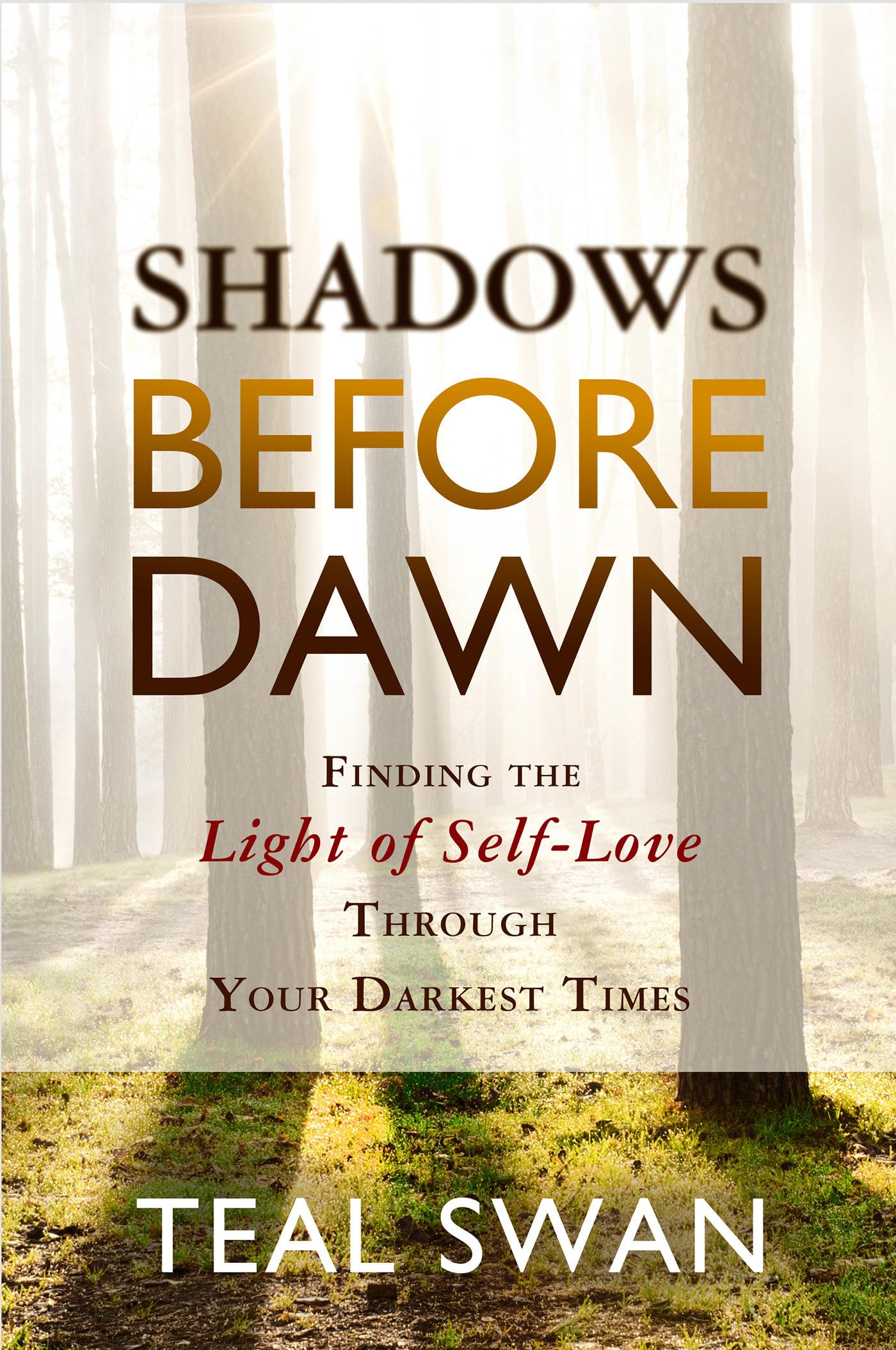 Shadows Before Dawn: Finding the Light of Self-Love Through Your Darkest Times Business, Finance & Career