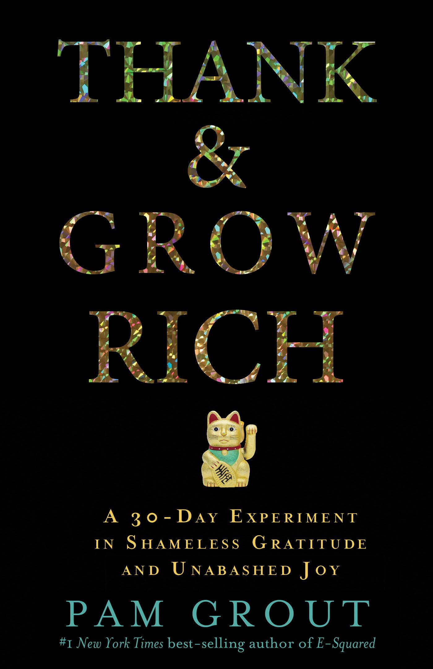 Thank & Grow Rich: A 30-Day Experiment In Shameless Gratitude And Unabashed Joy Business, Finance & Career