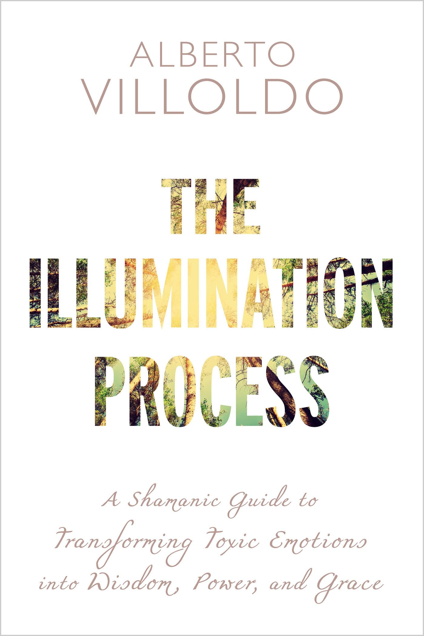 The Illumination Process: A Shamanic Guide to Transforming Toxic Emotions into Wisdom, Power, and Grace Self-help