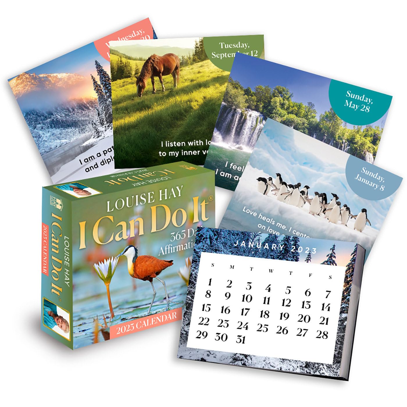I Can Do It® 2023 Calendar: 365 Daily Affirmations Business, Finance & Career