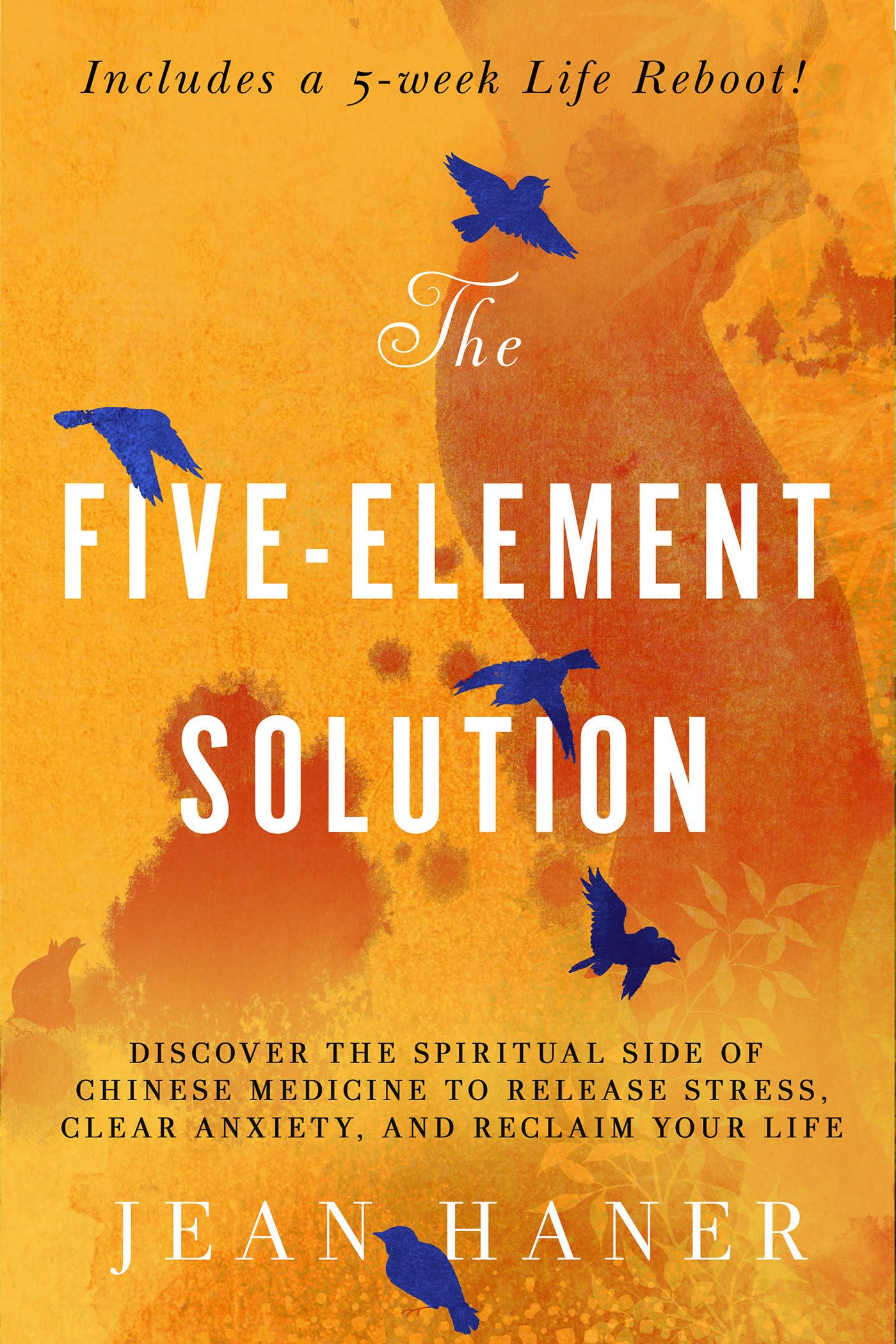 The Five-Element Solution Business, Finance & Career