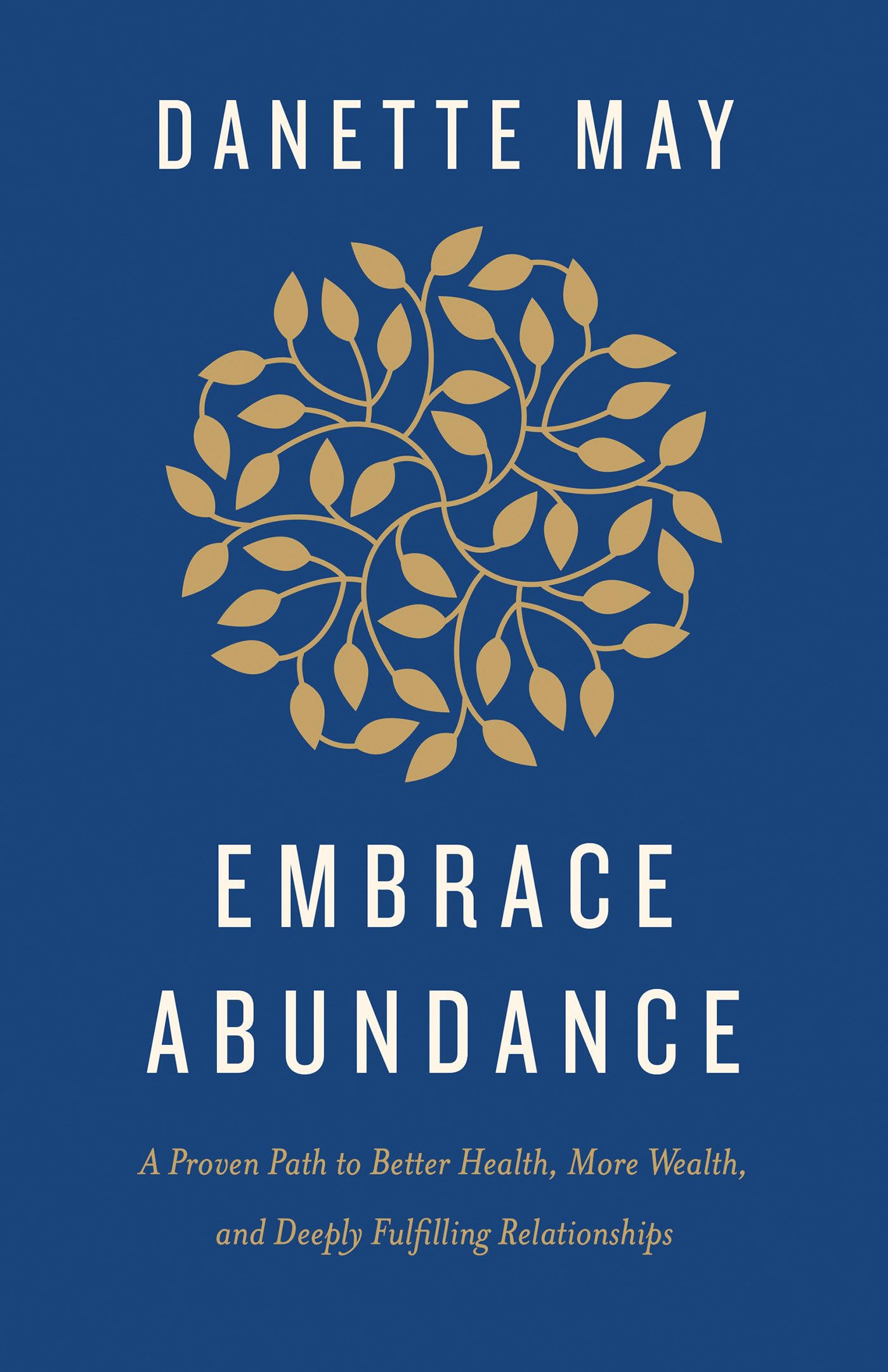 Embrace Abundance: A Proven Path to Better Health, More Wealth, and Deeply Fulfilling Relationships book