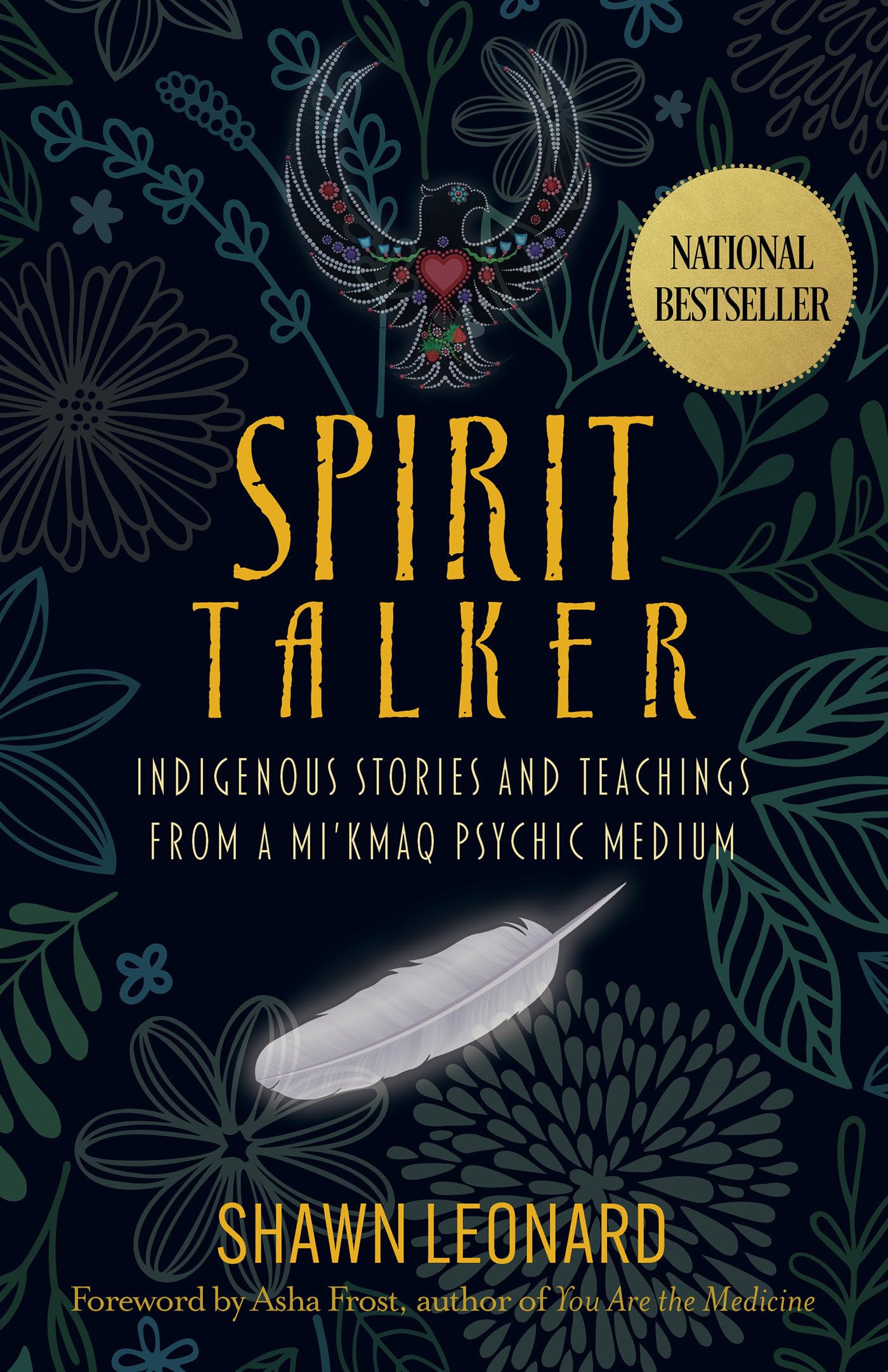 Spirit Talker: Indigenous Stories and Teachings from a Mi'kmaq Psychic Medium Social Sciences