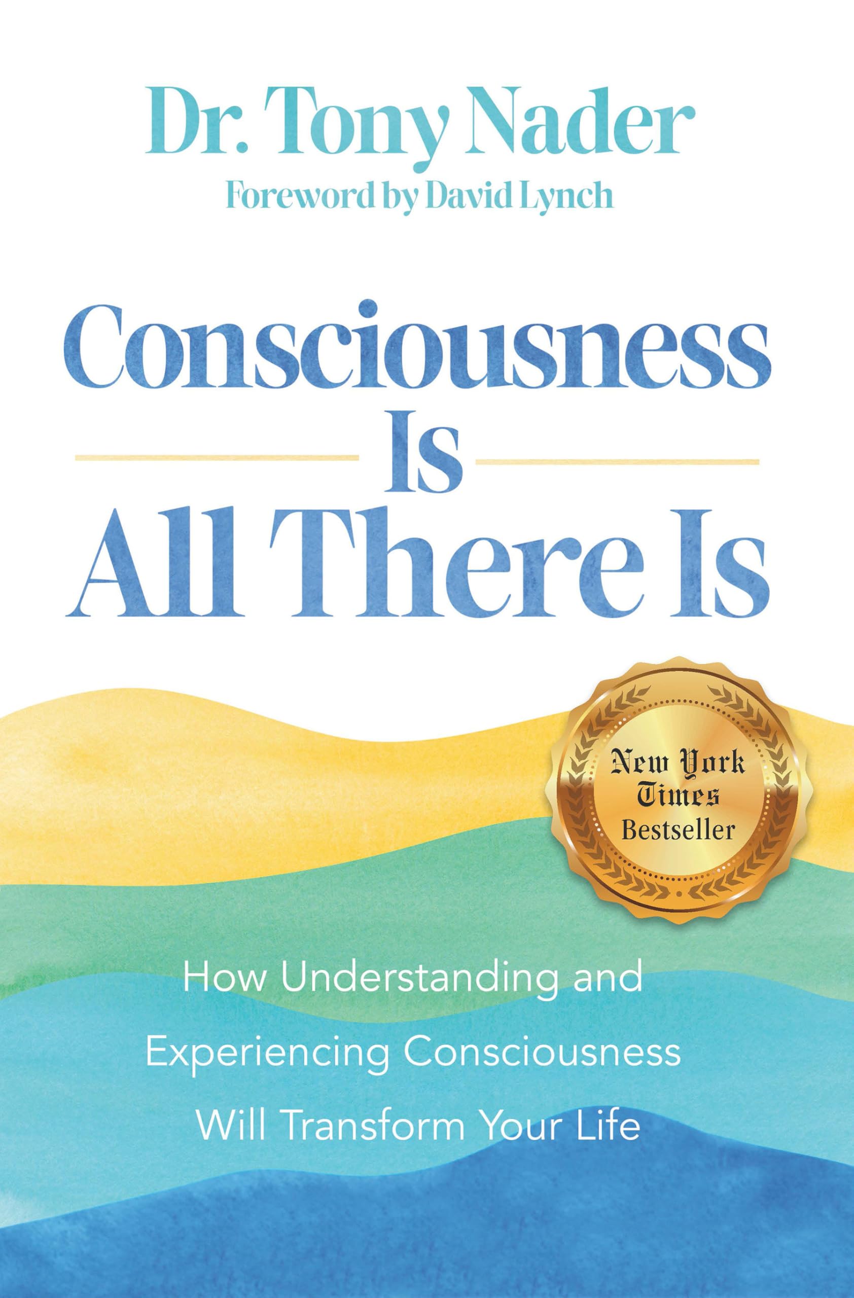 Product Image: Consciousness Is All There Is