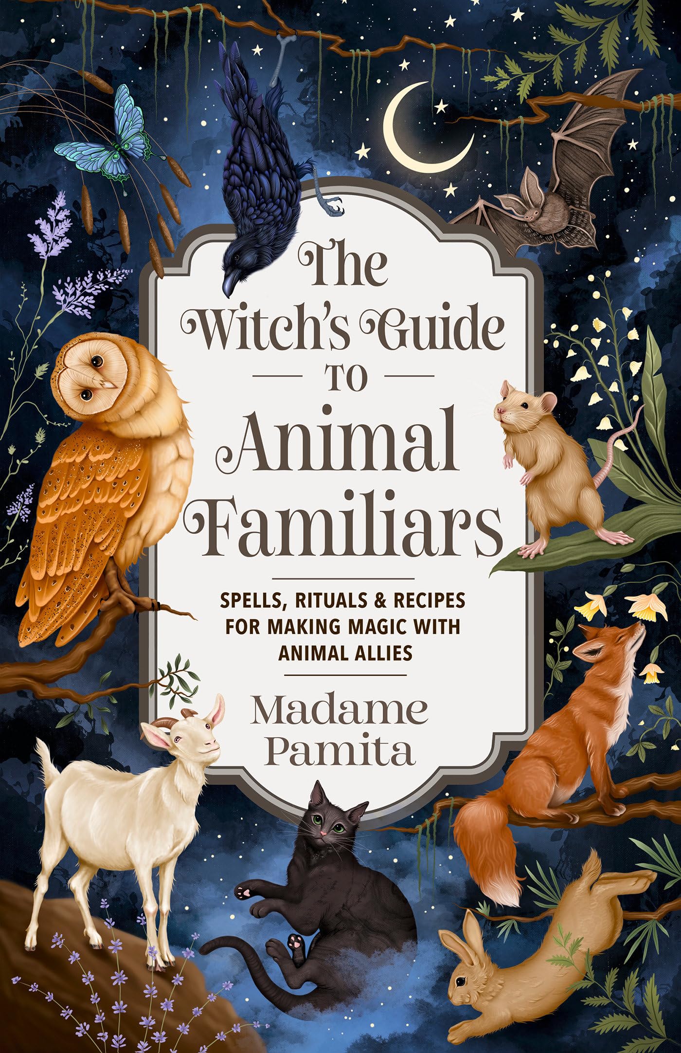The Witch's Guide to Animal Familiars: Spells, Rituals & Recipes for Making Magic With Animal Allies Business, Finance & Career