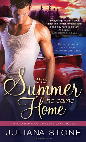 The Summer He Came Home book