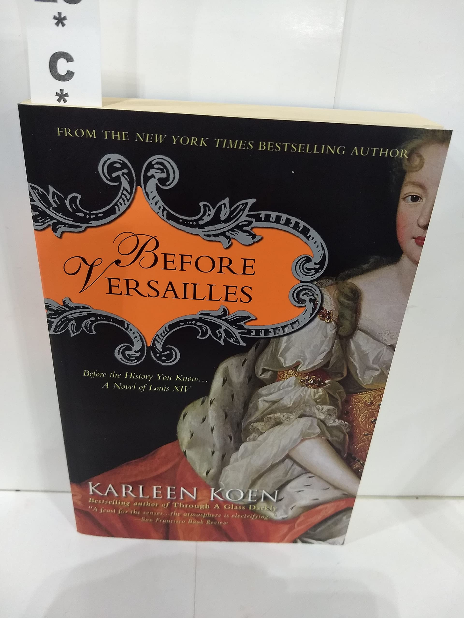 Before Versailles: Before the History You Know... a Novel of Louis XIV book