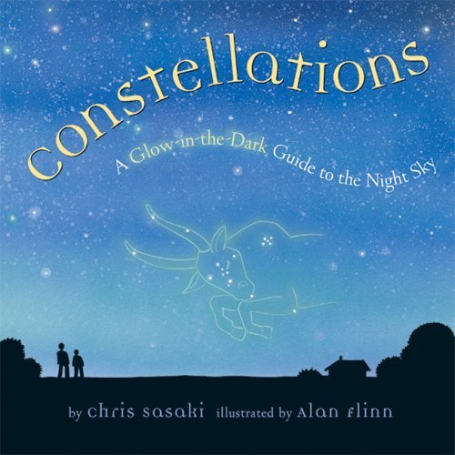 Constellations: A Glow-In-The-Dark Guide to the Night Sky Non-fiction