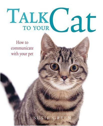 Talk To Your Cat: How To Communicate With Your Pet Pets