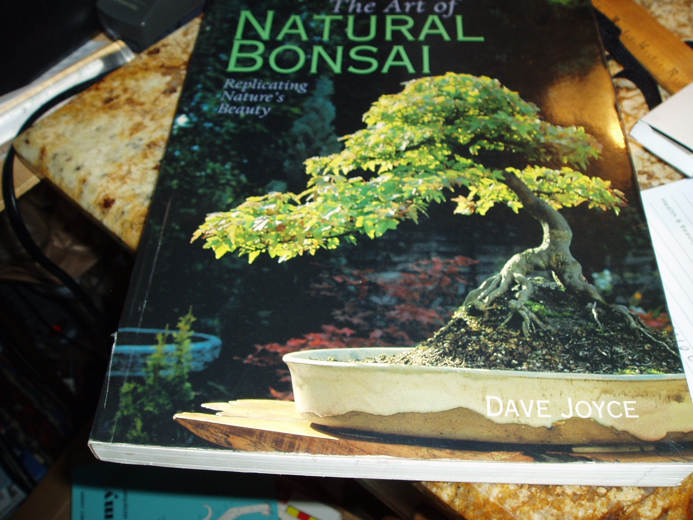The Art of Natural Bonsai: Replicating Nature's Beauty book