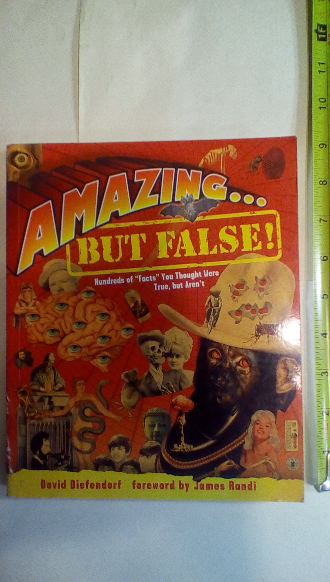 Amazing . . . but False!: Hundreds of "Facts" You Thought Were True, but Aren't Leisure & Fun