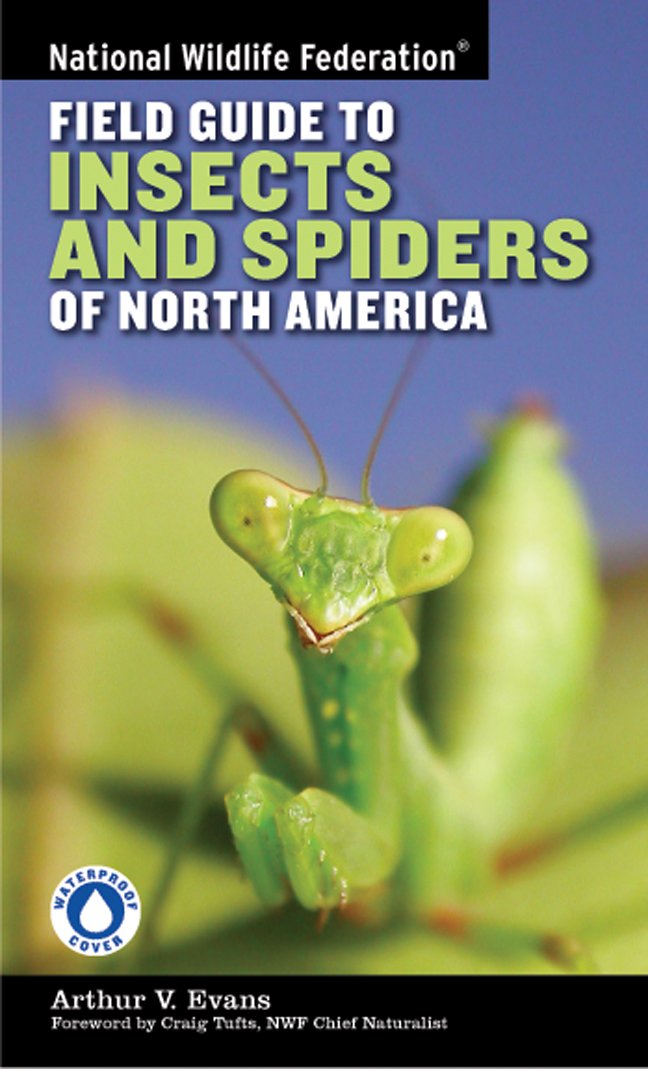 National Wildlife Federation Field Guide to Insects and Spiders & Related Species of North America Mathematics