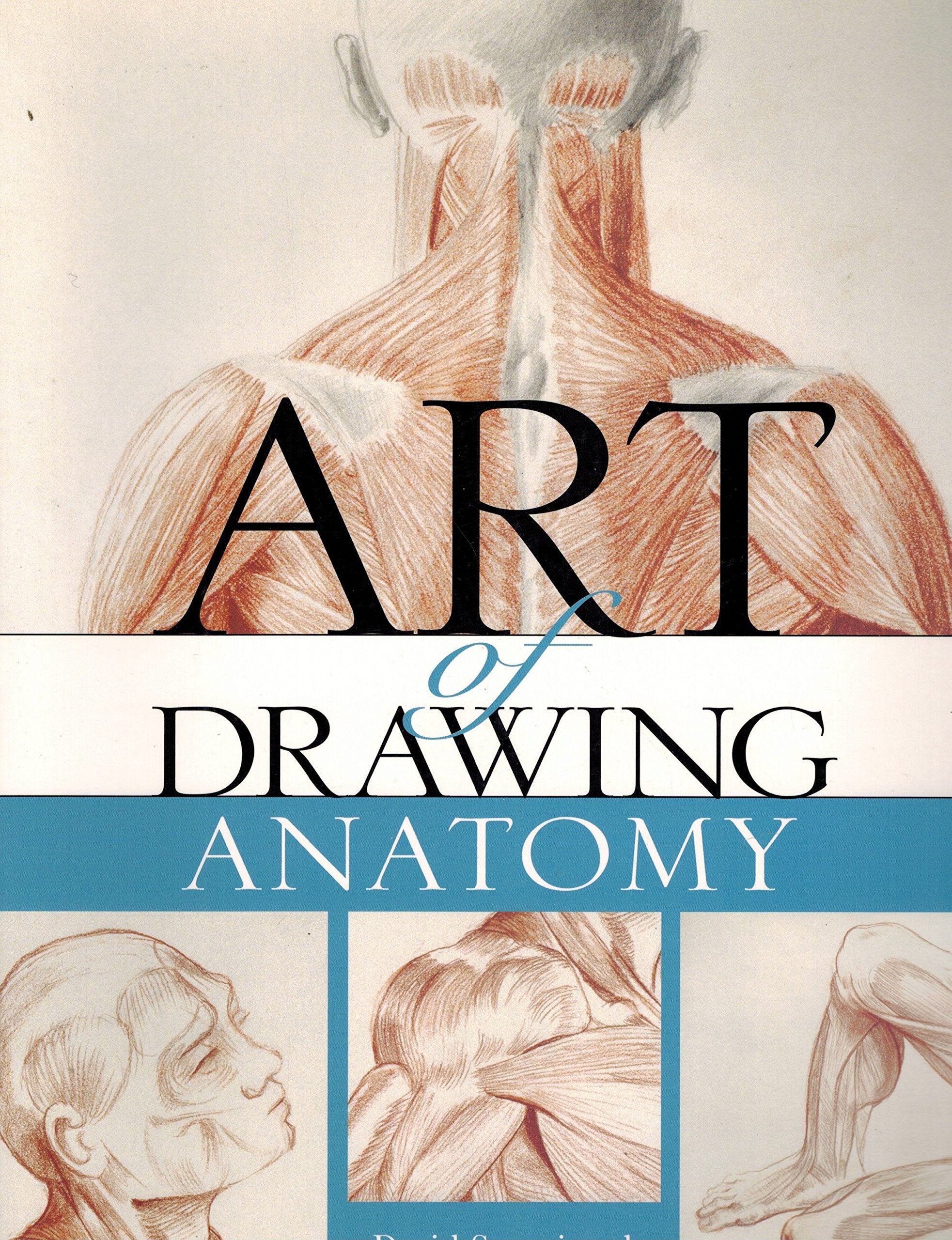 The Art of Drawing Anatomy Film, Art & Culture