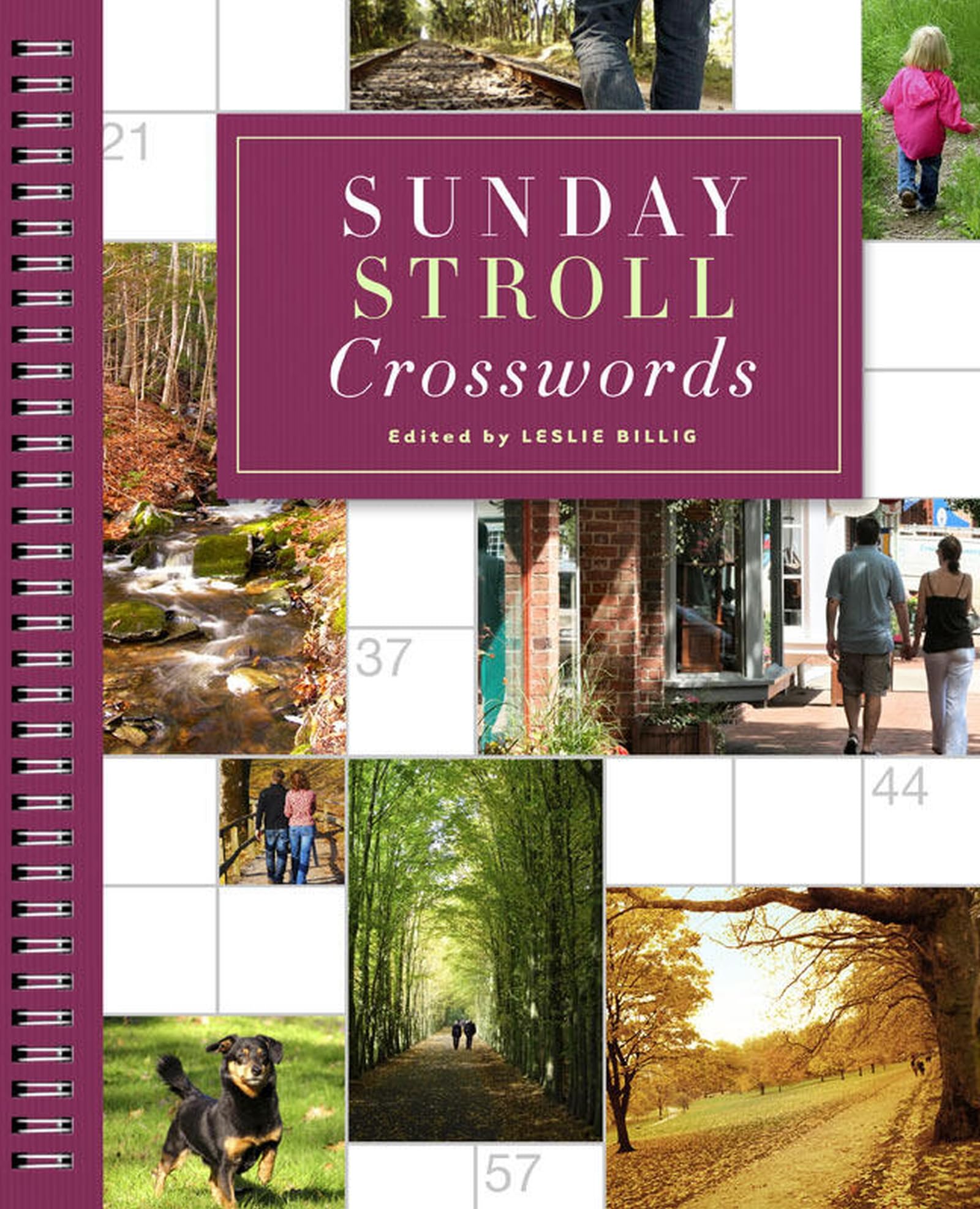 Sunday Stroll Crosswords (Sunday Crosswords) Leisure & Fun