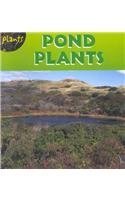 Product Image: Pond Plants