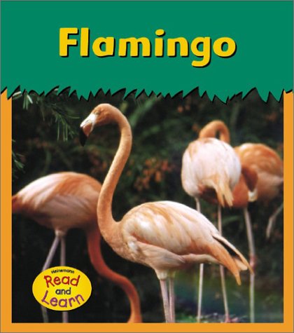 Flamingo (Zoo Animals) Non-fiction