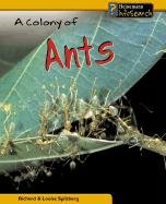 A Colony of Ants (Animal Groups) Non-fiction