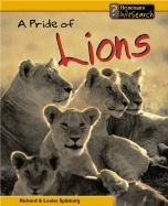 A Pride of Lions (Animal Groups) Non-fiction
