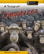 A Troop of Chimpanzees (Animal Groups) Non-fiction