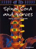 Spinal Cord and Nerves: Injury, Illness and Health (Body Focus) Non-fiction