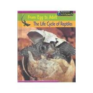 The Life Cycle of Reptiles (From Egg to Adult) Non-fiction