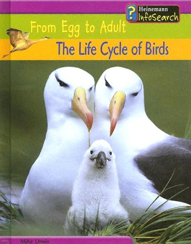 The Life Cycle of Birds (From Egg to Adult) Non-fiction