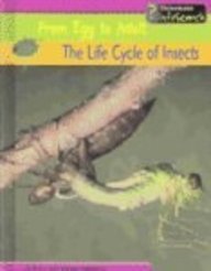 The Life Cycle of Insects (From Egg to Adult) Non-fiction