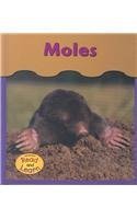 Moles (Heinemann Read and Learn) Novels & Short Stories