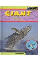 Giant and Teeny book
