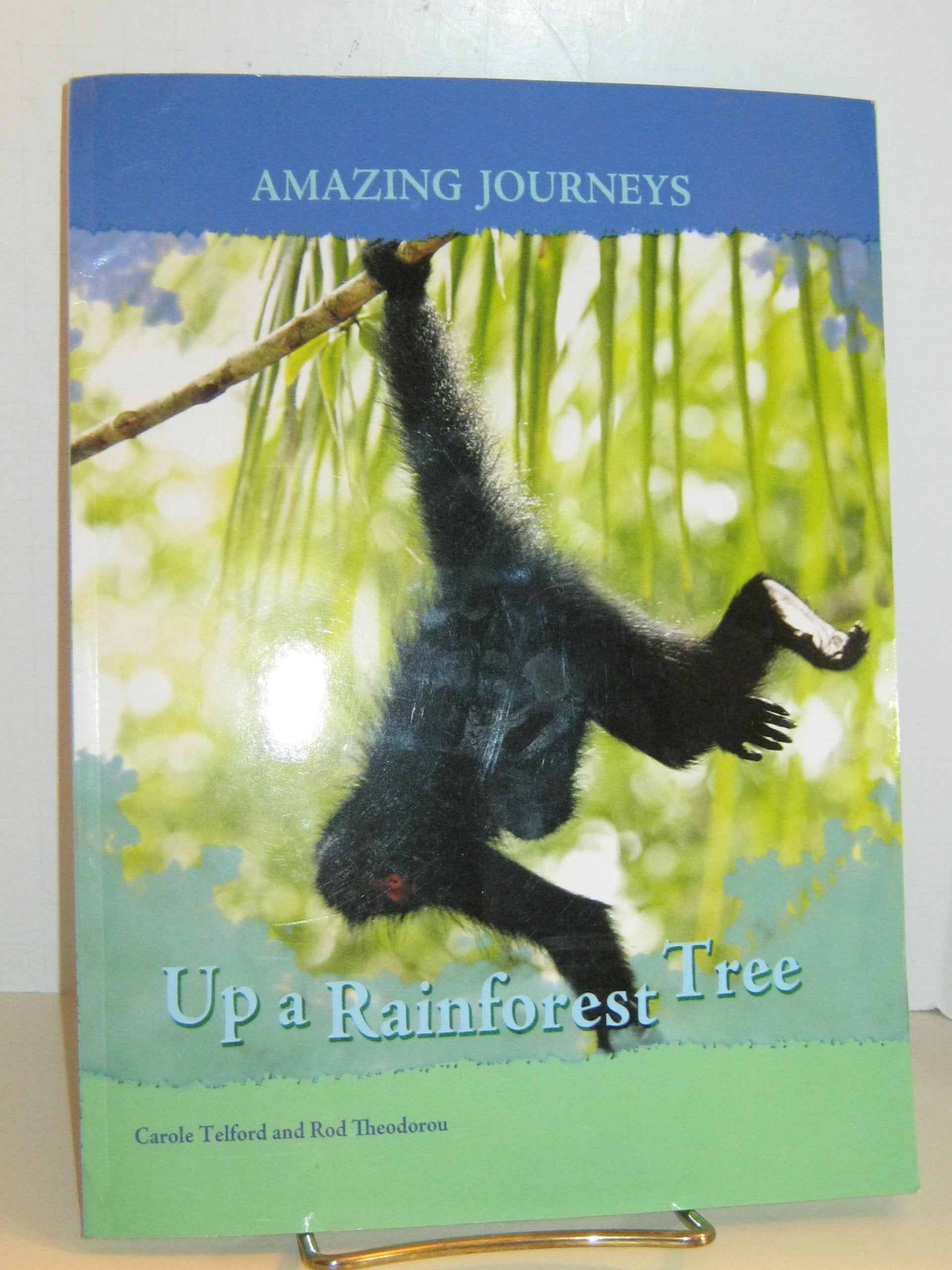 Up a Rainforest Tree (Amazing Journeys/2nd Edition) Non-fiction