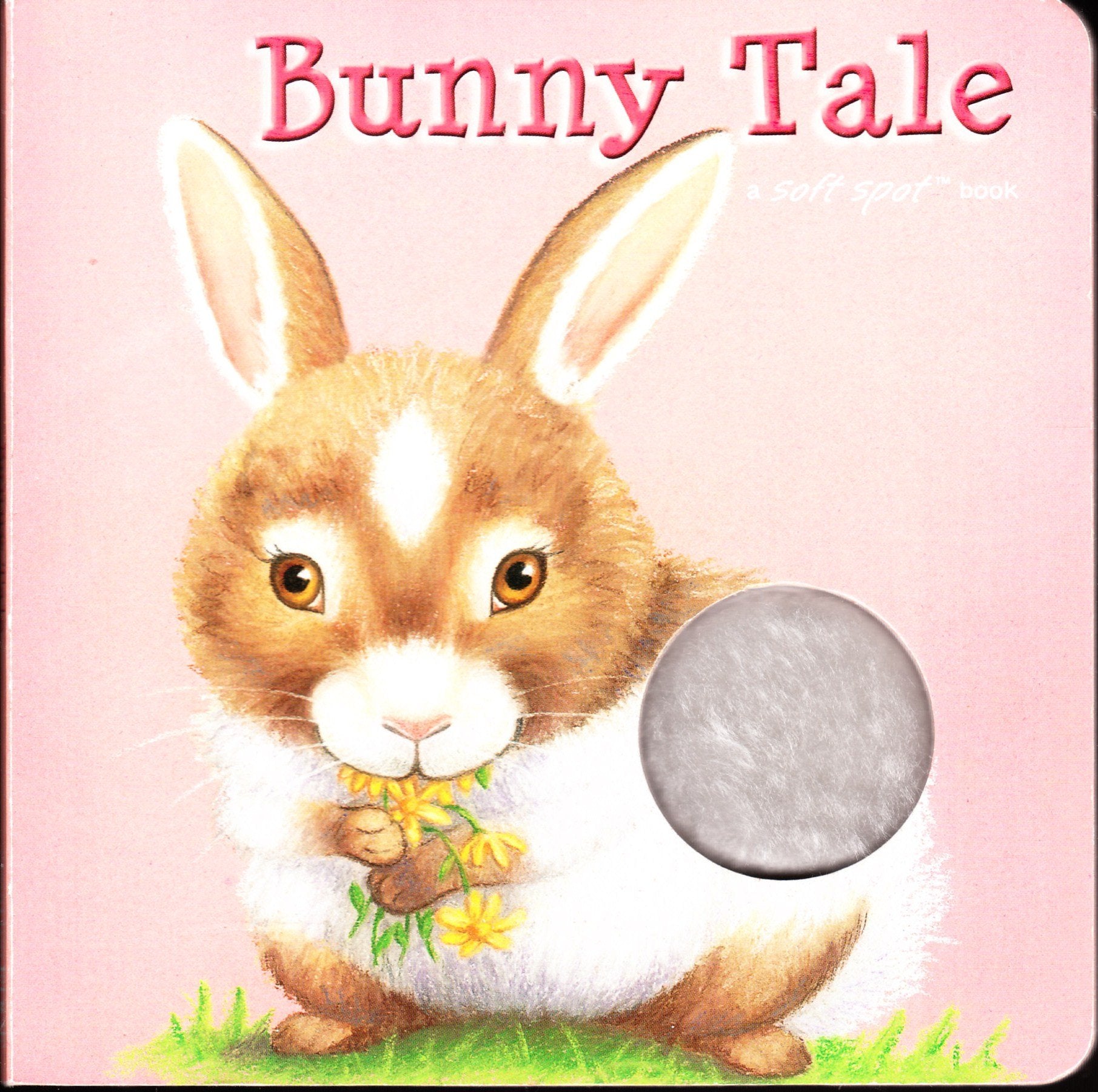 Bunny Tale, a Soft Spot Book, Age 3 and up Books