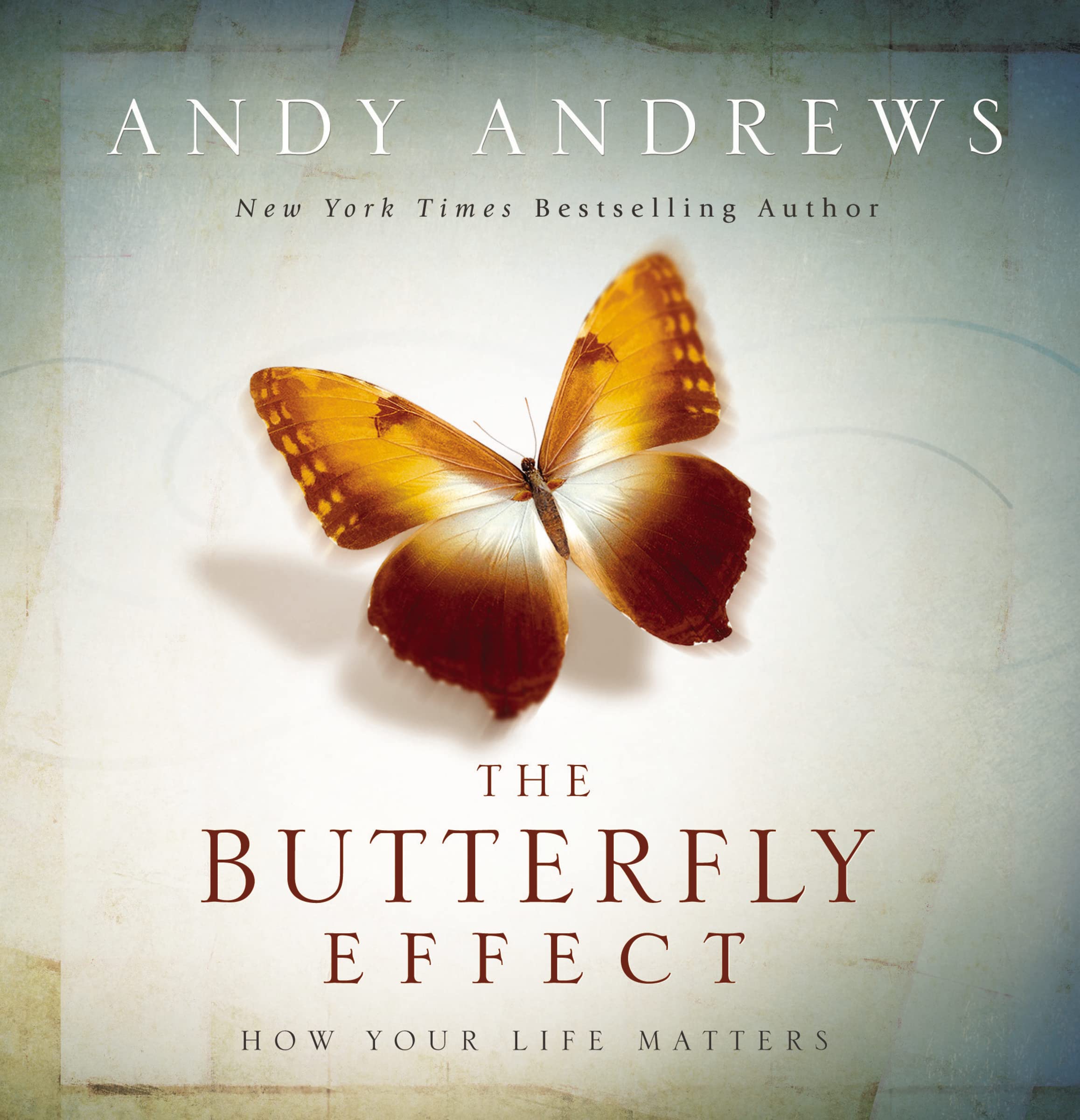 The Butterfly Effect: How Your Life Matters – The Perfect Inspirational Gift Business, Finance & Career