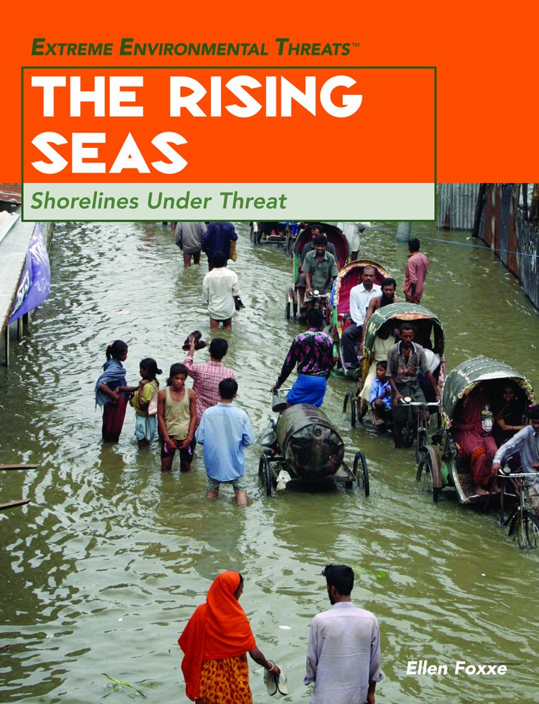 The Rising Seas: Shorelines Under Threat (Extreme Environmental Events) Books