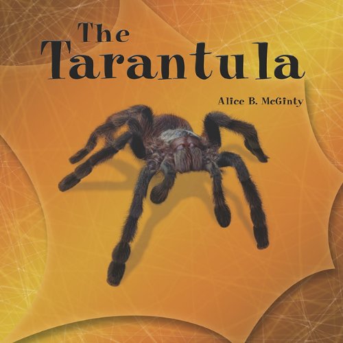 The Tarantula (The Library of Spiders) Non-fiction