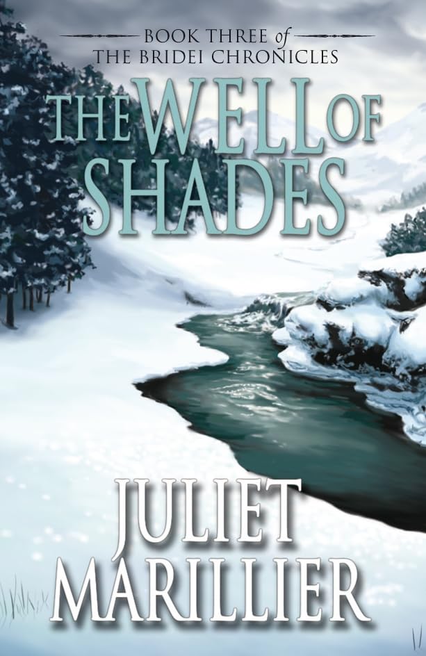 The Well of Shades book