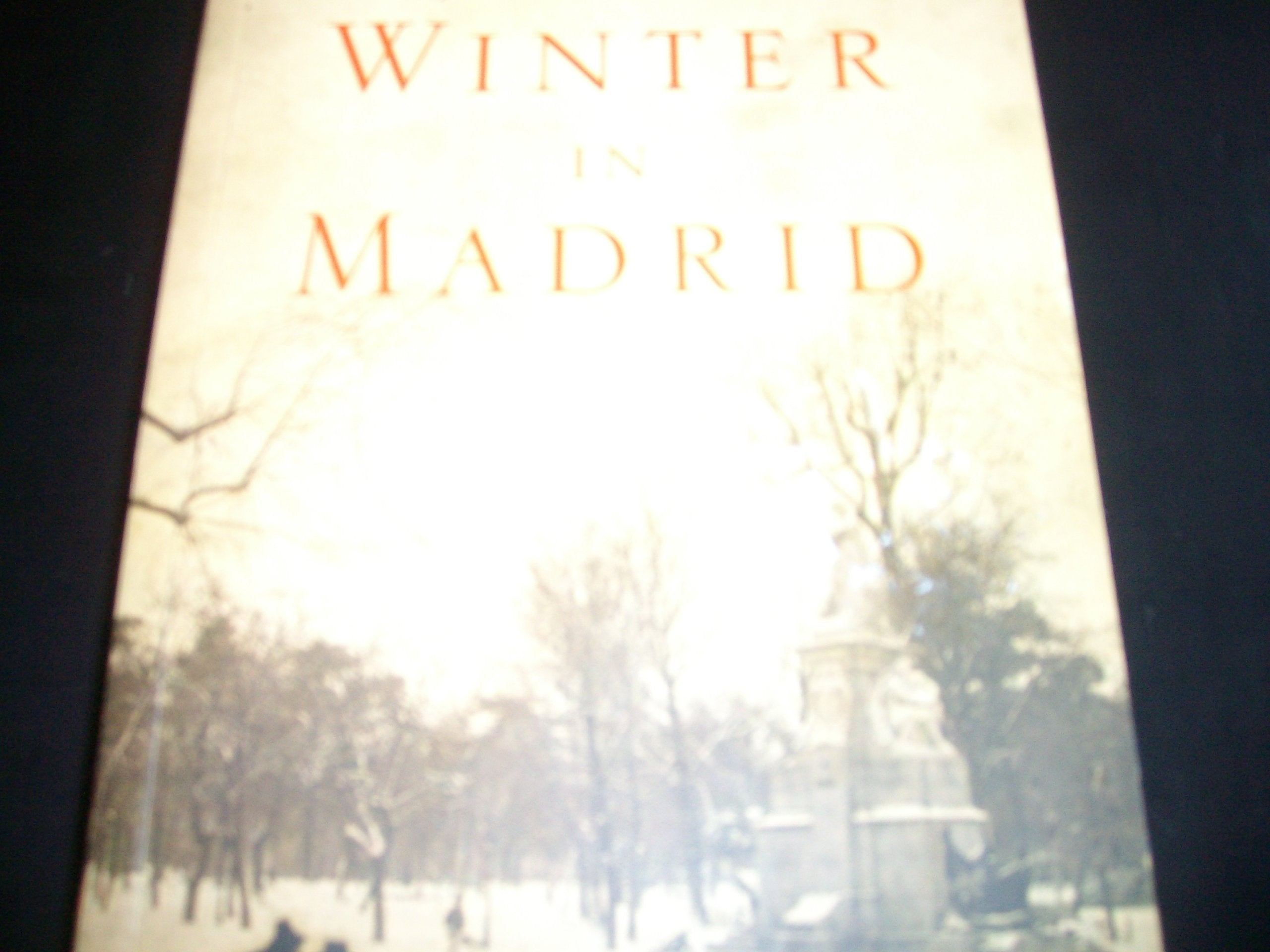 Winter in Madrid Contemporary literature Books