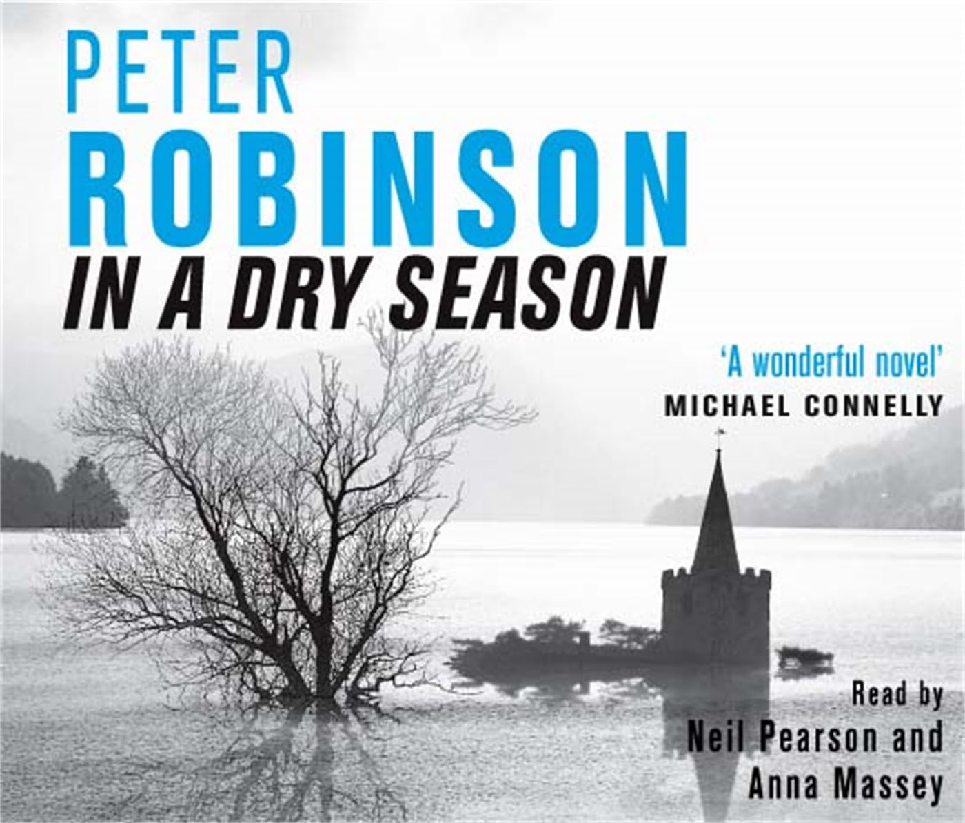 In A Dry Season: The 10th novel in the number one bestselling Inspector Alan Banks crime series (The Inspector Banks series, 10) Contemporary literature Books