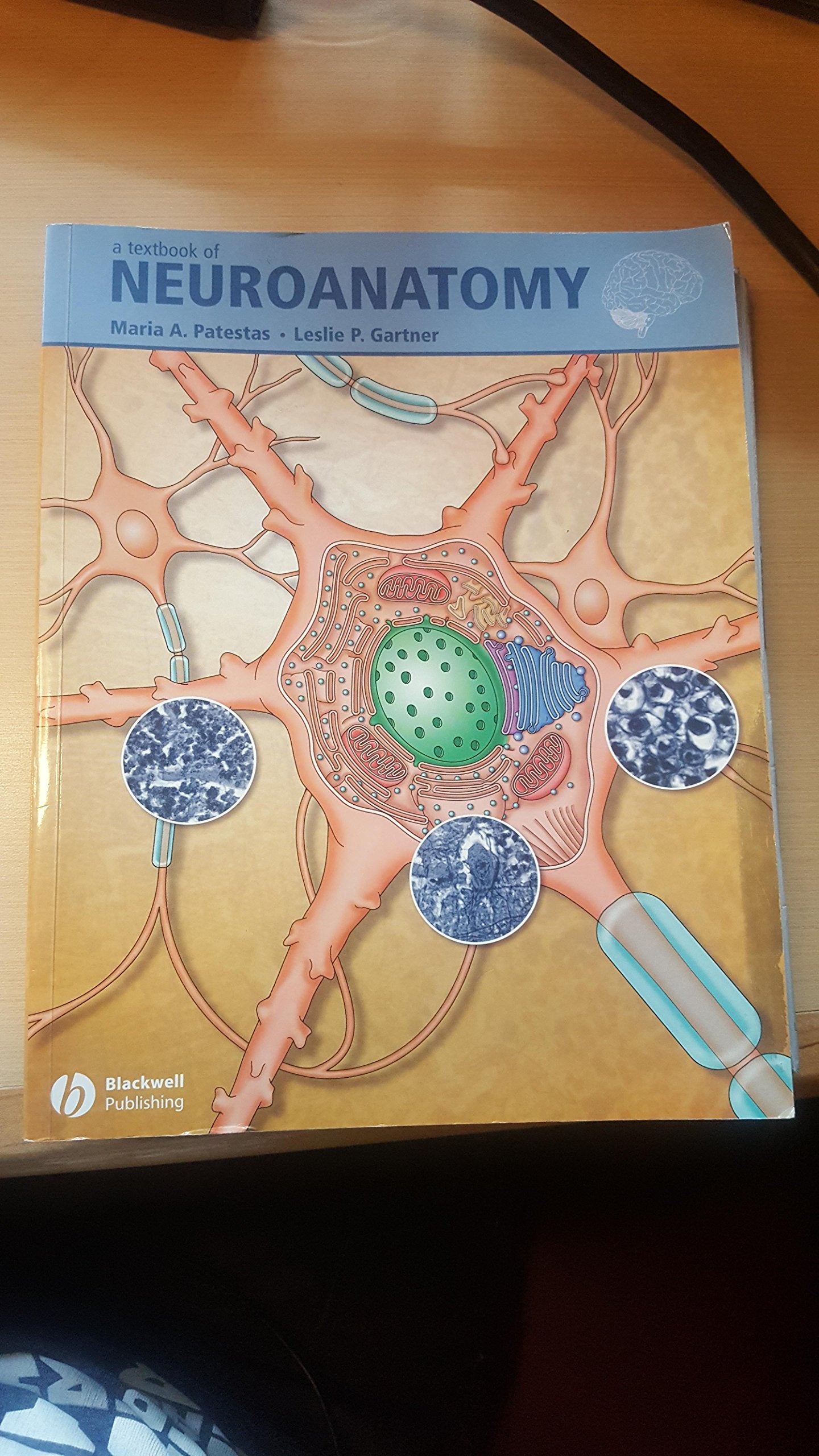 Textbook of Neuroanatomy Medicine