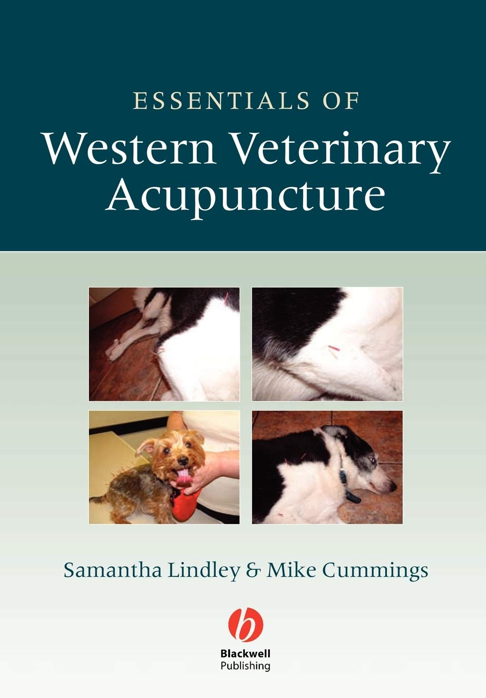 Essentials of Western Veterinary Acupuncture Medicine
