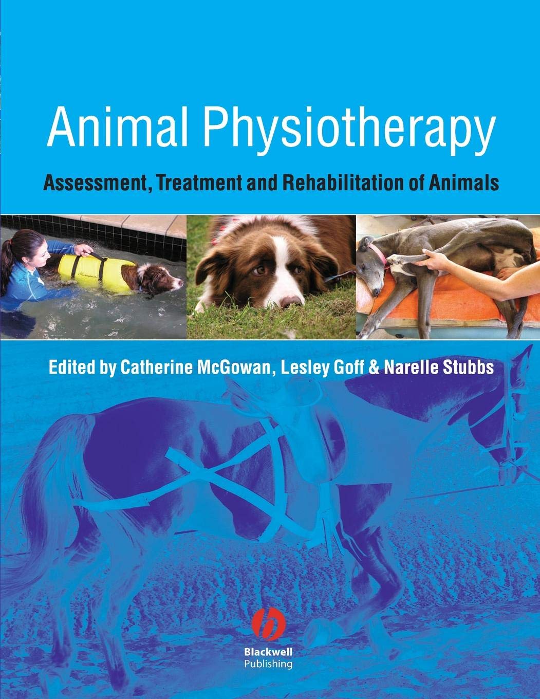 Animal Physiotherapy: Assessment, Treatment and Rehabilitation of Animals book