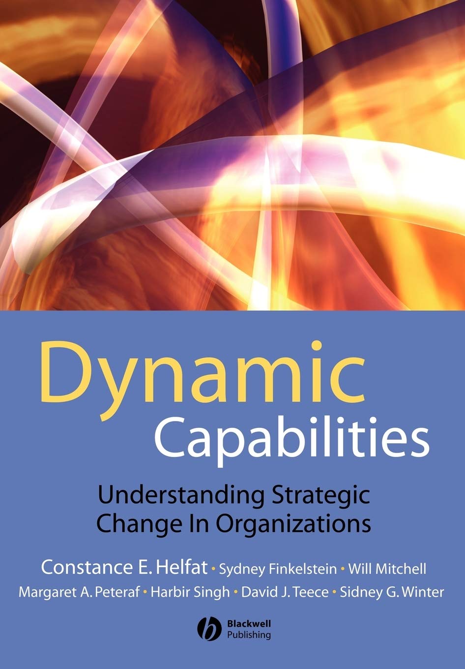 Dynamic Capabilities Law Books