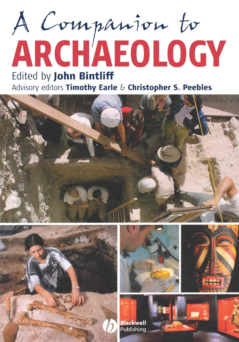 A Companion to Archaeology (Blackwell Companion to Archaeology) Books