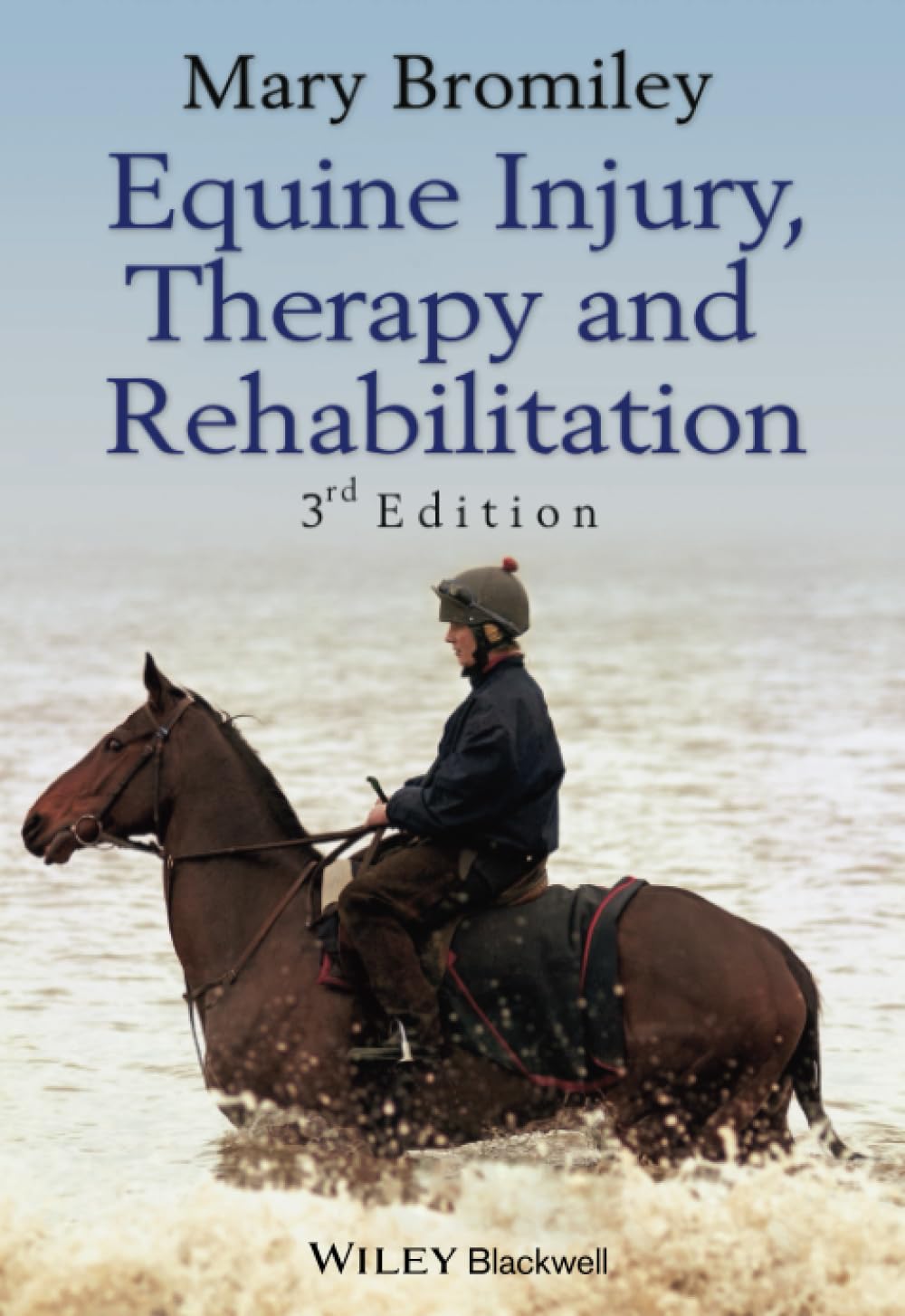Equine Injury, Therapy and Rehabilitation Medicine