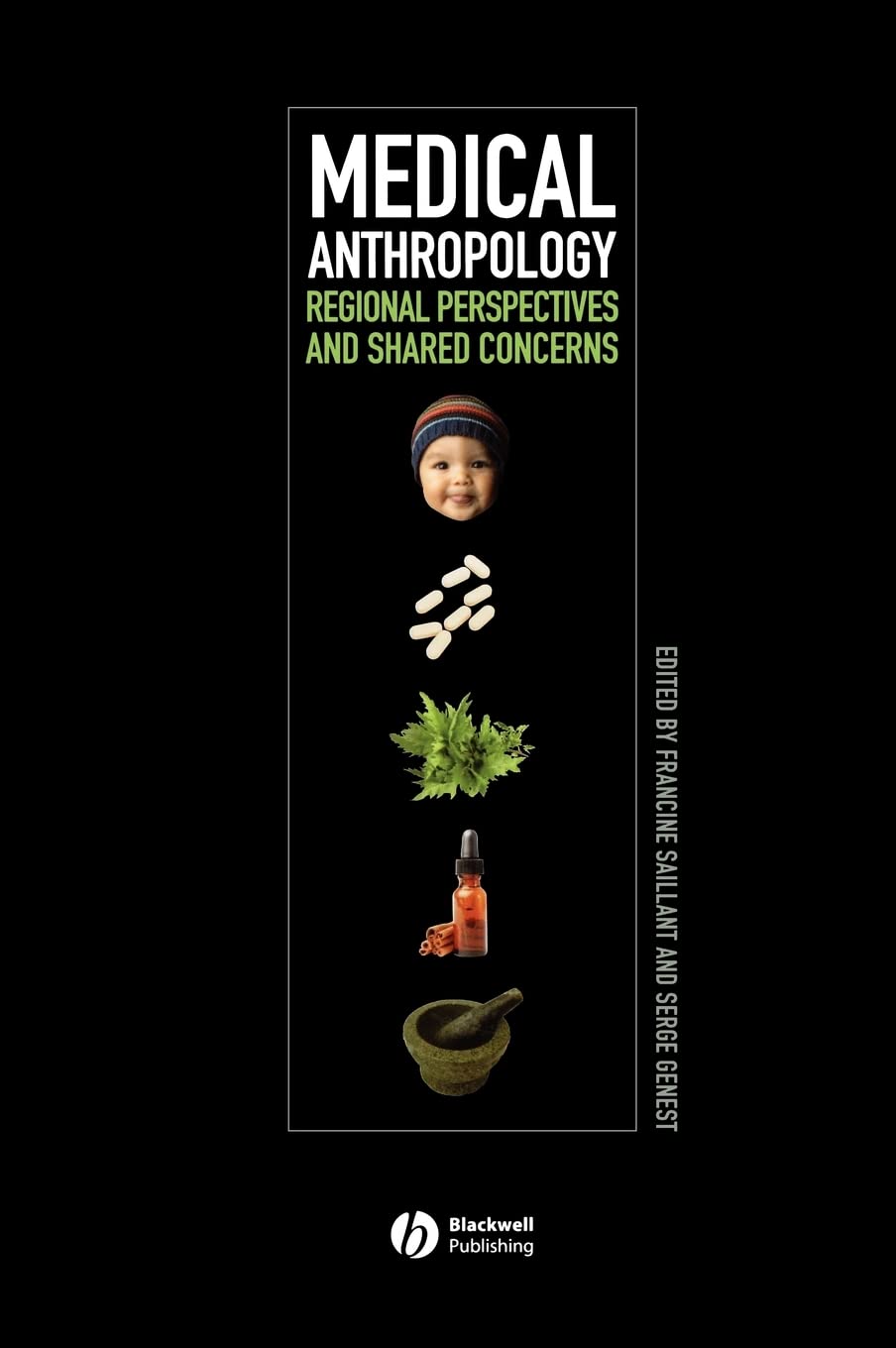 Medical Anthropology: Regional Perspectives And Shared Concerns book