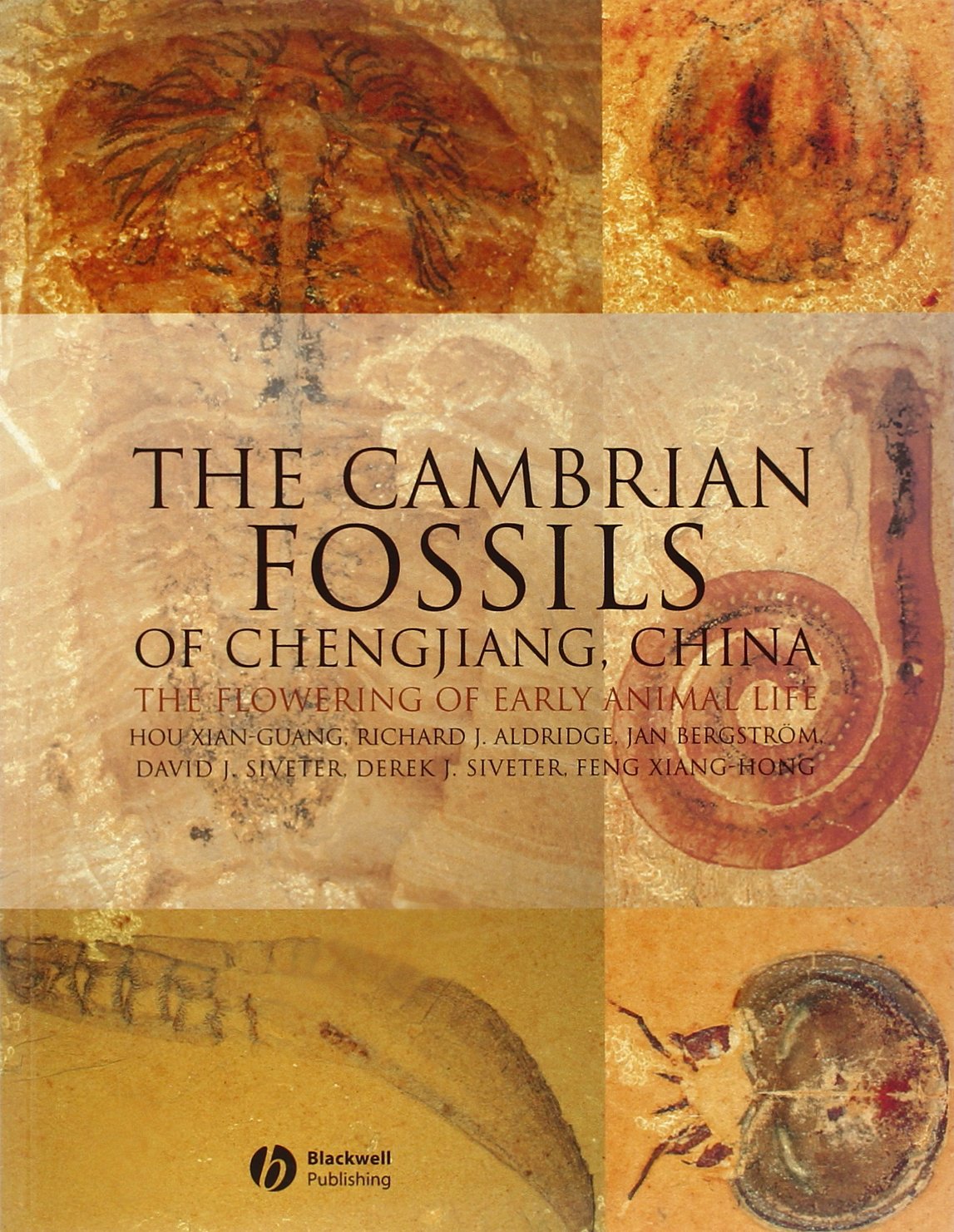 The Cambrian Fossils of Chengjiang, China Business & Technology