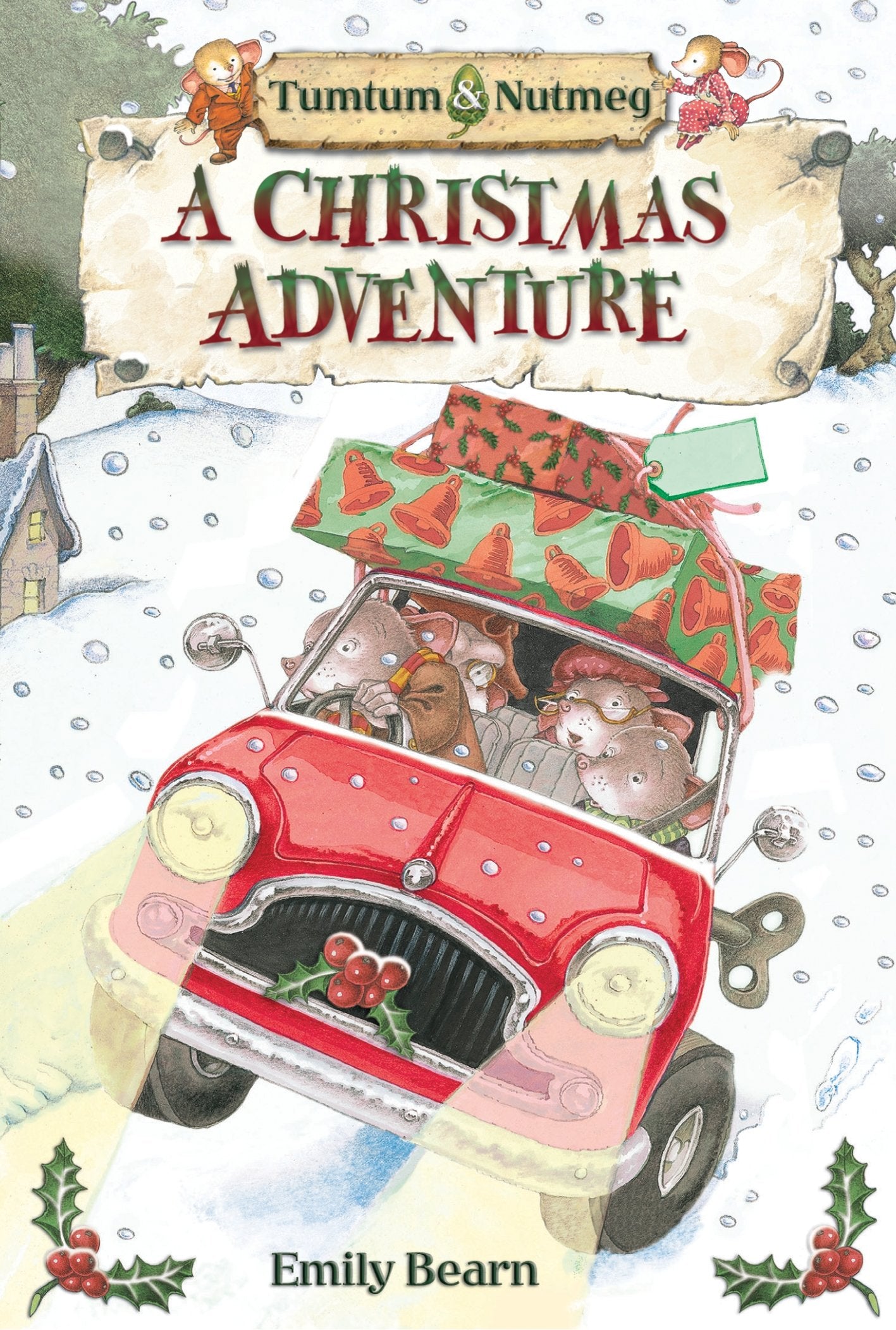 Tumtum & Nutmeg's Christmas Adventure (Tumtum and Nutmeg) book