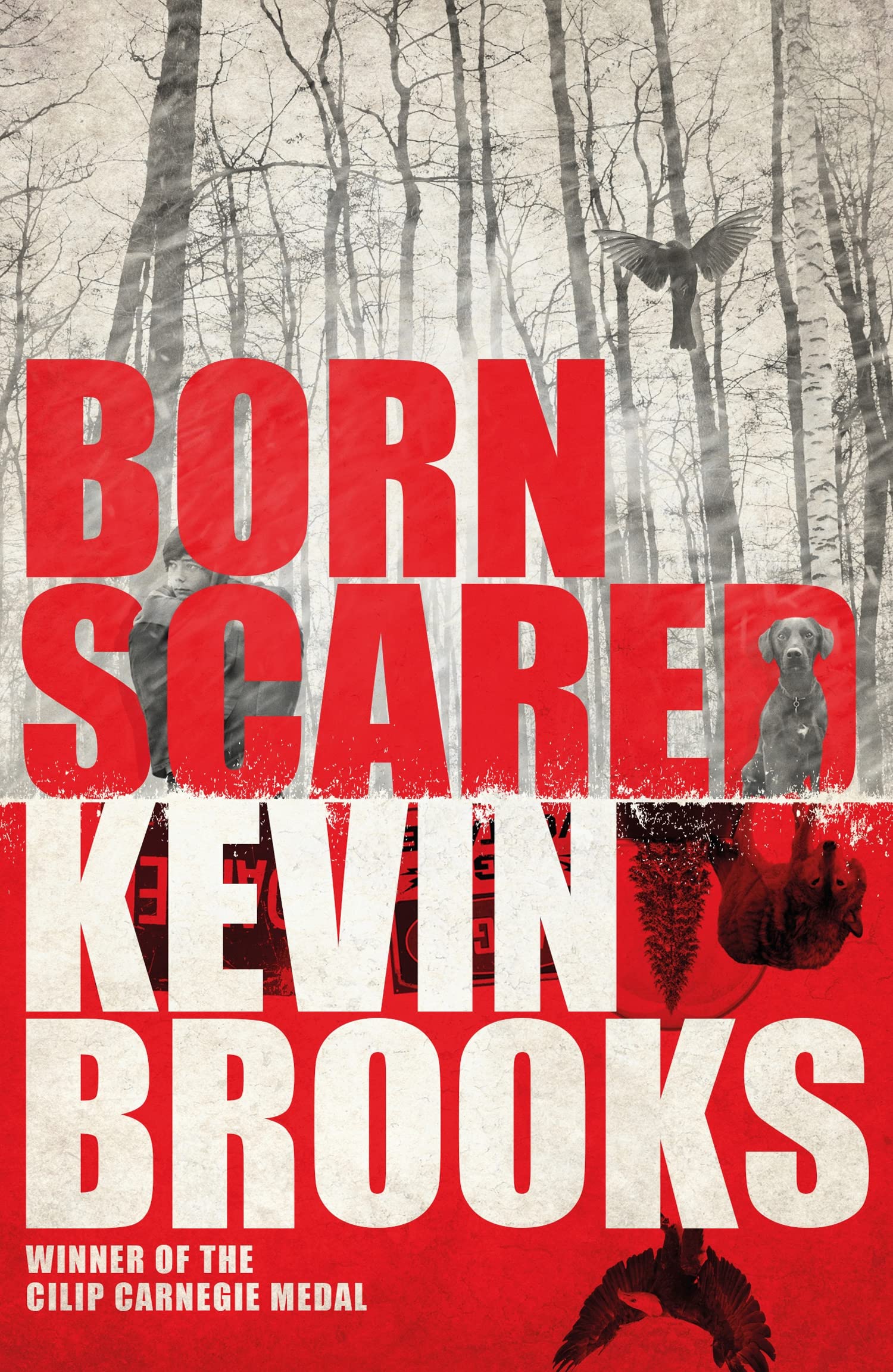 Born Scared Health, Nutrition & Fitness