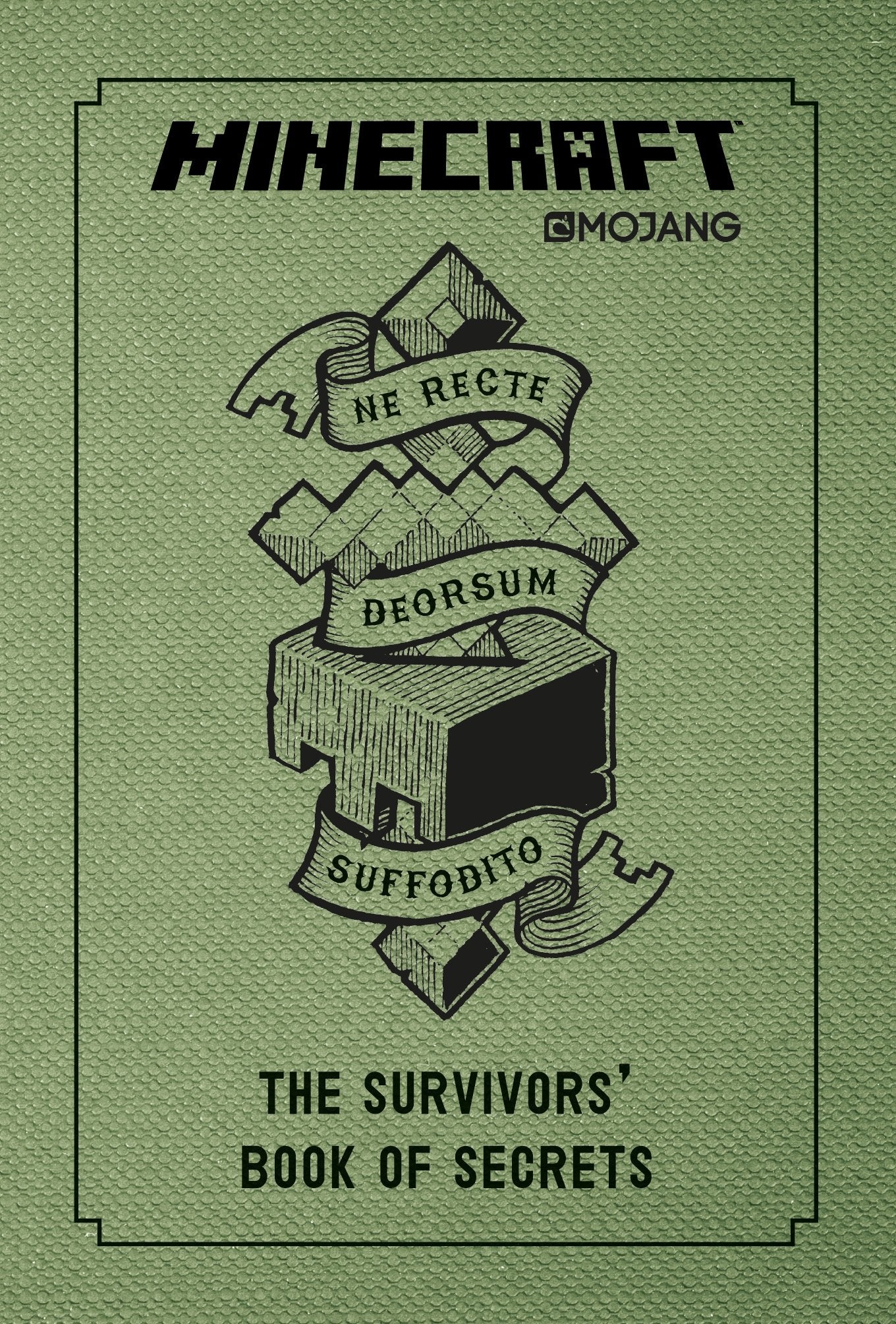 Minecraft: The Survivors' Book of Secrets Computer Science
