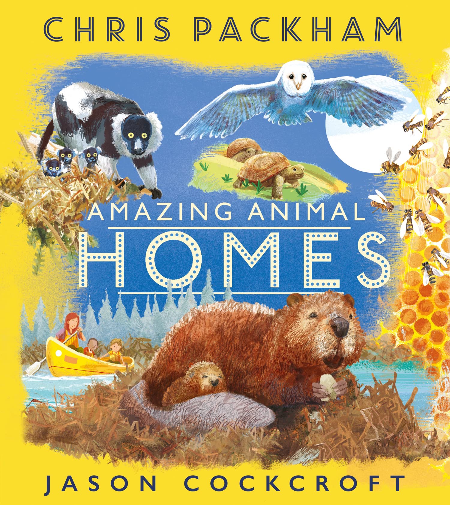 Amazing Animal Homes: Look inside some of nature's most extraordinary animal homes. Non-fiction